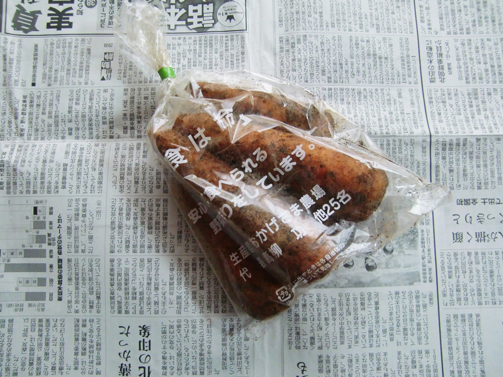 人参
