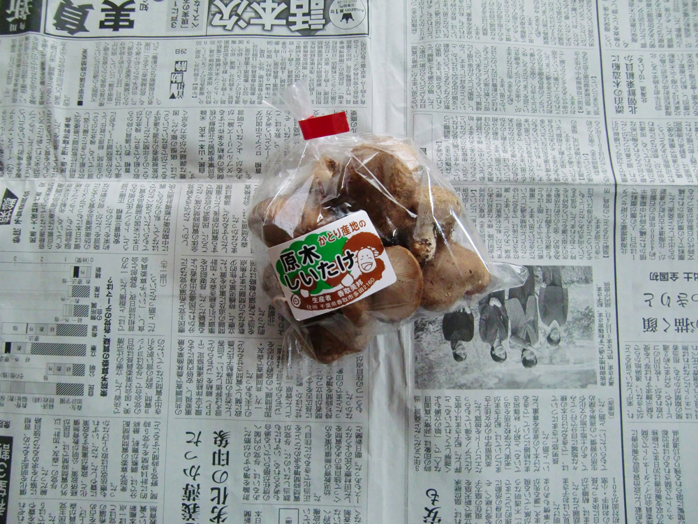 しいたけ
