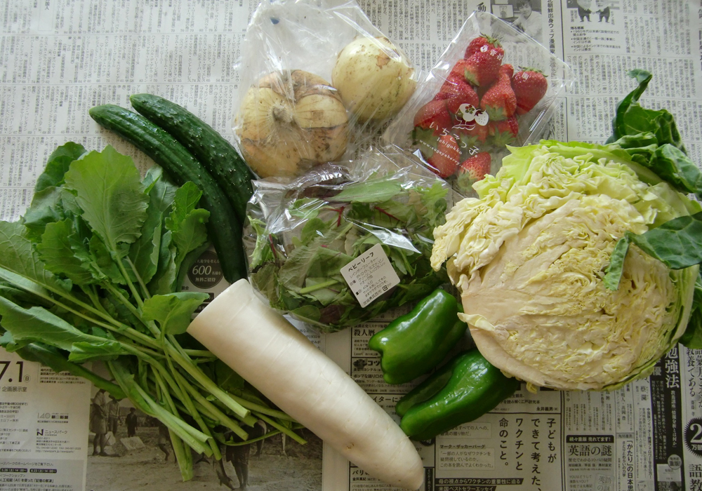 野菜盛りだくさん